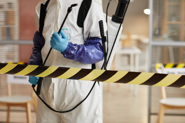 Professional Blood Cleanup technician working in Newcastle, WA